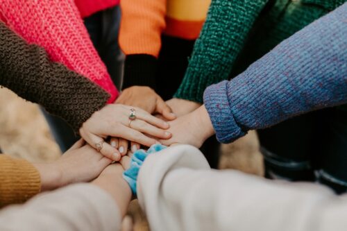 Gleichstellung in der alt-katholischen Kirche Deutschlands: eine Frage der Vitalität von Kirche