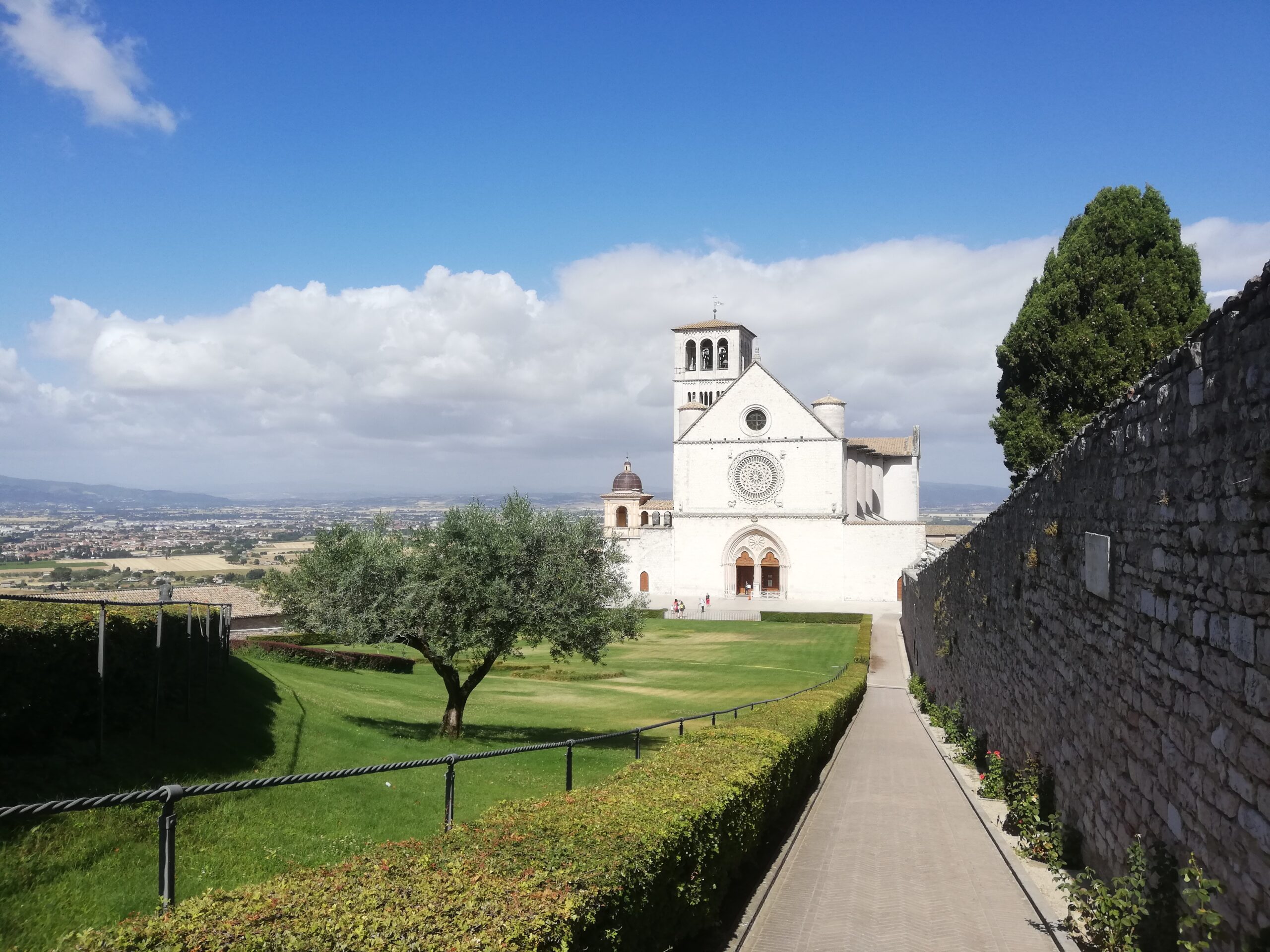 assisi francesco